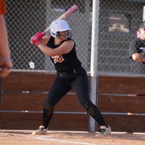 Contact Charlee Valentine the softball player from Idaho at College Athlete Advantage platform